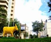 A Vaca Ipê-Amarelo traz, de forma despretensiosa, um conceito de sustentabilidade e de consciência ecológica quando estimula a