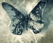 MOMOCO&#39;s title sequence for the lavish BBC drama starring Ray Winstone and Gillian Anderson.nnWe follow the birth and death of a butterfly. The creature bursts out of the cocoon, unfurling its fragile self into a dark world. As the sequence progresses we see intricate filigree tattooed onto the wings, growing like creeping ivy. Eventually the tattoos envelop the entire wingspan until the creature is blacked out to an eerie silhouette of itself.nThe sequence parallels the lead character&#39;s evoluti