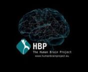 HBP-videoverview from hbp