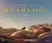 The Starling is a 2021 American fantasy comedy-drama film directed by Theodore Melfi and written by Matt Harris. The film stars Melissa McCarthy, Chris O&#39;Dowd, Timothy Olyphant, Kim Quinn, Skyler Gisondo, Loretta Devine, Ravi Kapoor, Daveed Diggs, Rosalind Chao, Laura Harrier, and Kevin Kline.