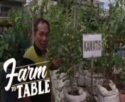 Aired (March 24, 2024): Lydio Naputo of San Diego Elementary School teaches us how they grow their own tomatoes in the school garden!