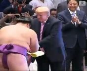 President Trump presents President&#39;s Cup to the champion of Tokyo&#39;s top sumo tournament, Asanoyama Hideki, during his state visit to Japan.