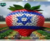 &#60;br/&#62;فلسطين سوف تنتصر باذن من الله عز وجل&#60;br/&#62;&#60;br/&#62;Palestine will be victorious, God wi&#60;br/&#62;palestine will be free (musical recording),palestine,free palestine music,free palestine,palestine live,palestina,berita terkini palestina,israel and palestine,historical battle,palestinians,historical strategy,bible history animation,native american history,civilization-style game,hero collection,hindu editorial,maher zain (musical artist),american history,amharic bible study,the hindu editorial,a muslim boy debates with christian prince