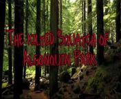 #bigfoot #scary #story #stories &#60;br/&#62;&#60;br/&#62;In the deep, uncharted woods of Algonquin Park, a mysterious legend whispered among the locals. They spoke of a kilted Sasquatch, a creature adorned in tartan, haunting the darkest corners of the forest.&#60;br/&#62;&#60;br/&#62;Rumors spoke of its immense size, towering over the tallest pines. Its fiery red eyes pierced the nighttime shadows, evoking both awe and terror. They said it had been watching, waiting, biding its time.&#60;br/&#62;&#60;br/&#62;One fateful night, a group of adventurous campers decided to test the truth of the legend. Ignoring the warnings, they sought the thrill of encountering the elusive creature. Among them was Scott, a skeptic who scoffed at the tales of the kilted Squatch.&#60;br/&#62;&#60;br/&#62;As the campfire crackled and laughter filled the air, Scott dismissed the stories as mere folklore. But as the moon reached its zenith, an eerie silence fell upon the camp. A chill wind rustled the leaves, carrying with it a sense of impending doom.&#60;br/&#62;&#60;br/&#62;That&#39;s when they heard it—a low, guttural growl, primal and otherworldly. The campers froze, their eyes wide with fear. Shadows danced in the flickering firelight, casting twisted shapes upon the trees.&#60;br/&#62;&#60;br/&#62;Suddenly, the canopy above them trembled. Branches snapped, and a colossal figure emerged from the darkness. It was the kilted Squatch, a towering presence that sent shivers down their spines. Its muscular, hairy form was concealed beneath the tartan, which billowed in the wind.&#60;br/&#62;&#60;br/&#62;Fear gripped Scott&#39;s heart as he witnessed the creature&#39;s terrifying presence. The campers scattered, desperate to escape the looming threat. But Scott, frozen in terror, found himself locked in a primal gaze with the Kilted Squatch.&#60;br/&#62;&#60;br/&#62;In that moment, time seemed to stand still. Scott saw beyond the creature&#39;s fearsome appearance. He glimpsed the ancient wisdom in its eyes, a connection to the untamed wilderness that surrounded them. It was a guardian—a protector of the forest.&#60;br/&#62;&#60;br/&#62;As the Kilted Squatch advanced, Scott&#39;s fear transformed into a deep respect. He realized that the creature had watched over Algonquin Park for centuries, ensuring its preservation. The legend held a deeper truth—a sacred duty to safeguard the delicate balance between man and nature.&#60;br/&#62;&#60;br/&#62;Just as the kilted Squatch reached out a massive hand, a sudden realization washed over Scott. He understood that the Kilted Squatch was not a threat but a messenger—a warning of the consequences of exploiting and desecrating the natural world.&#60;br/&#62;&#60;br/&#62;With newfound courage, Scott raised his hand, signaling his intention to communicate. The Kilted Squatch paused, its fiery eyes reflecting