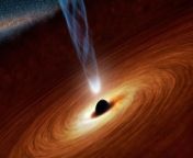 What would happen if you put a couple of physicists in a room with a rope, a box and a black hole?