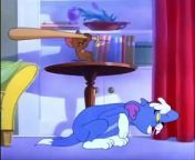 ᴴᴰ Tom and Jerry (English Episodes 30) - Nit Witty Kitty (2) - YouTube 2023 from wet kitty