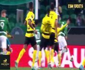 Sporting vs Young Boys 1-1 All Goals &amp; Highlights 2024