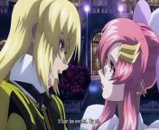 Under COMPASS, a global peace monitoring agency that has Lacus as its first president, Kira and his comrades intervene into various regional battles.