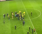 Watch: Wild scenes in Super Lig as Trabzonspor fans attack Fenerbahce players from wild xxx gorilla