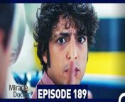 Miracle Doctor Episode 189&#60;br/&#62;&#60;br/&#62;Ali is the son of a poor family who grew up in a provincial city. Due to his autism and savant syndrome, he has been constantly excluded and marginalized. Ali has difficulty communicating, and has two friends in his life: His brother and his rabbit. Ali loses both of them and now has only one wish: Saving people. After his brother&#39;s death, Ali is disowned by his father and grows up in an orphanage.Dr Adil discovers that Ali has tremendous medical skills due to savant syndrome and takes care of him. After attending medical school and graduating at the top of his class, Ali starts working as an assistant surgeon at the hospital where Dr Adil is the head physician. Although some people in the hospital administration say that Ali is not suitable for the job due to his condition, Dr Adil stands behind Ali and gets him hired. Ali will change everyone around him during his time at the hospital&#60;br/&#62;&#60;br/&#62;CAST: Taner Olmez, Onur Tuna, Sinem Unsal, Hayal Koseoglu, Reha Ozcan, Zerrin Tekindor&#60;br/&#62;&#60;br/&#62;PRODUCTION: MF YAPIM&#60;br/&#62;PRODUCER: ASENA BULBULOGLU&#60;br/&#62;DIRECTOR: YAGIZ ALP AKAYDIN&#60;br/&#62;SCRIPT: PINAR BULUT &amp; ONUR KORALP