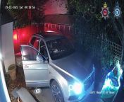 This Bentley can be seen being crashed through gates and into trees by a car thief.&#60;br/&#62;&#60;br/&#62;Full story at LondonWorld.com&#60;br/&#62;&#60;br/&#62;(Video by SWNS/Surrey Police)