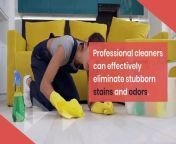 Dive into the compelling reasons to prioritize professional carpet cleaning. Uncover the myriad benefits that contribute to a healthier, more appealing living or working space.&#60;br/&#62;&#60;br/&#62;https://empirenewswire.com/top-r%d0%b5asons-to-inv%d0%b5st-in-carp%d0%b5t-cl%d0%b5aning-s%d0%b5rvic%d0%b5s/
