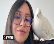 A woman has a pet pigeon who lives in her apartment and loves to kiss and cuddle her.&#60;br/&#62;&#60;br/&#62;Aleksandra Bezrukova, 25, discovered a pair of eggs which hatched baby pigeons - known as squabs - on her balcony and she fell in love.&#60;br/&#62;&#60;br/&#62;After they grew up and flew away, Aleksandra became determined to raise a pigeon of her own.&#60;br/&#62;&#60;br/&#62;After finding a pet pigeon that needed re-homing she took the bird in and named her Coco.&#60;br/&#62;&#60;br/&#62;Coco has been living in Aleksandra&#39;s apartment with her husband, Alexandre Pastemps, 29, a crypto trader, since October.&#60;br/&#62;&#60;br/&#62;Both of them adore Coco and she grows more friendly by the day - even giving Aleksandra kisses and cuddles.&#60;br/&#62;&#60;br/&#62;Aleksandra calls her a &#92;