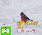 Serenity&#39;s Echo: Tibetan Flute for Emotional Detox, Stress Relief, and Mental Calm Stress Relief,&#60;br/&#62;Anxiety Relief, Serene Melody, Tranquil Sounds, Soulful Music, Calming Flute, Relaxation,&#60;br/&#62;&#60;br/&#62;Experience the ethereal melodies of the Tibetan flute in &#92;