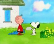 Swiping the blanket Compilation - Snoopy & Linus - The Charlie Brown and Snoopy Show from snoopy