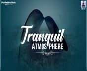 Tranquil Atmosphere Calming Music &#124;&#124; Stop Overthinking, Nature Sounds for Sleep and Relaxation&#60;br/&#62;&#60;br/&#62; Track information:&#60;br/&#62;Title: Tranquil Atmosphere &#60;br/&#62;Composer/Music: Ashish Ahuja &#60;br/&#62;Label: Ambey &#60;br/&#62;ARMS-146-14/RMS 28/NA&#60;br/&#62;&#60;br/&#62;Start your day with &#92;