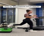 Bulgarian Split Squats Tutorial Best Guide from squat fuck