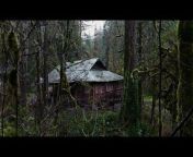 Following the death of their parents, Lee (Ashley Judd) adopts her nieces, Imogen (Katie Douglas) and Maeve (Sarah Pidgeon), and raises them in a remote cabin as a deadly pandemic rages on around them. For over 10 years, the girls are raised to never leave the woods, avoid any and all interaction with outsiders, and ultimately rely on Lee as their only connection to the outside world.Lee has convinced the girls this is the key to survival in what is now an infectious and violent world. But when Imogen and Maeve discover an injured man in the nearby woods, Lee’s absolute control begins to disintegrate as their faith in her, and everything they’ve ever known, begins to unravel.&#60;br/&#62;&#60;br/&#62;DIRECTED AND WRITTEN BY: Alec Tibaldi&#60;br/&#62;&#60;br/&#62;STARRING: Ashley Judd, Sarah Pidgeon, Katie Douglas, Edward Balaban and Asher Angel&#60;br/&#62;&#60;br/&#62;RUN TIME:86 Minutes&#60;br/&#62;&#60;br/&#62;RATING: Not Rated