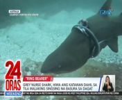 Nahiwa ang katawan ng grey nurse shark na iyan sa Australia dahil sa tila malaking singsing na sumuot dito.&#60;br/&#62;&#60;br/&#62;&#60;br/&#62;24 Oras Weekend is GMA Network’s flagship newscast, anchored by Ivan Mayrina and Pia Arcangel. It airs on GMA-7, Saturdays and Sundays at 5:30 PM (PHL Time). For more videos from 24 Oras Weekend, visit http://www.gmanews.tv/24orasweekend.&#60;br/&#62;&#60;br/&#62;#GMAIntegratedNews #KapusoStream&#60;br/&#62;&#60;br/&#62;Breaking news and stories from the Philippines and abroad:&#60;br/&#62;GMA Integrated News Portal: http://www.gmanews.tv&#60;br/&#62;Facebook: http://www.facebook.com/gmanews&#60;br/&#62;TikTok: https://www.tiktok.com/@gmanews&#60;br/&#62;Twitter: http://www.twitter.com/gmanews&#60;br/&#62;Instagram: http://www.instagram.com/gmanews&#60;br/&#62;&#60;br/&#62;GMA Network Kapuso programs on GMA Pinoy TV: https://gmapinoytv.com/subscribe