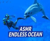 Endless Ocean Luminous — Sounds of the Sea — Nintendo Switch from aletta ocean as school slutty girl