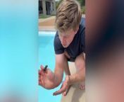 Robert Irwin saves tiny mouse from drowning in swimming pool: ‘Your father would be proud’ from sandra orlow pool 04