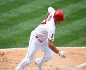 Can the Angels Keep Early Season Momentum vs. Rays? from www xxx tampa