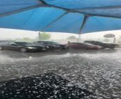 A heavy hail storm had hit Austin, Texas, and lasted for about 10 minutes. It hailed in different sizes, some marble-sized and some golf ball-sized. The cars which were under the canopy were saved from much damage but the ones that were not under it got pelted.