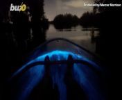 This might look like something out of the movie Avatar but a kayaker in a lagoon in Florida captured this beautiful footage of him paddling his way through bioluminescent plankton. Buzz60’s Mercer Morrison has the story.