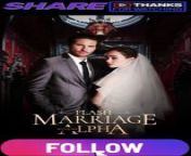 flash marriage with my alpha PART 1 | Full Movie 2024 #drama #drama2024 #dramamovies #dramafilm #Trending #Viral from webcam flash