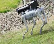 The Robot Dog With A Flamethrower Thermonator from dogနဲ့လူလိုးကား
