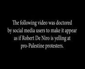 Fact check: Robert De Niro is NOT shouting at pro-Palestinian protesters in viral video from freey kissing video in