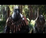 While humans have regressed into a feral state, one ape leader embarks on a journey to find freedom side by side with a human girl.