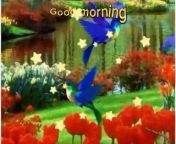 morning videovideo for good morning well come image collection 27&#60;br/&#62;&#60;br/&#62;#wellcome #goodmorning #video #happyday #imagecollection27&#60;br/&#62;&#60;br/&#62;well come, &#60;br/&#62;good morning,&#60;br/&#62; video, &#60;br/&#62;happy day, &#60;br/&#62;image collection 27,&#60;br/&#62;&#60;br/&#62;Good Morning: Starting Your Day on the Right Foot&#60;br/&#62;&#60;br/&#62;The way you start your morning can set the tone for the rest of your day. That&#39;s why it&#39;s important to begin each day with a positive attitude and a sense of purpose. By establishing a morning routine that works for you, you can ensure that you start your day on the right foot.&#60;br/&#62;&#60;br/&#62;One of the best ways to start your morning is by getting up early. Waking up early gives you the opportunity to ease into your day and take some time for yourself before the hustle and bustle begins. Use this time to engage in activities that help you feel centered and focused, such as meditation, journaling, or exercise.&#60;br/&#62;&#60;br/&#62;Another key component of a good morning routine is a healthy breakfast. Eating a nutritious breakfast not only fuels your body for the day ahead but also helps to improve your mood and concentration. Make sure to include a mix of protein, carbohydrates, and healthy fats to keep you energized throughout the morning.&#60;br/&#62;&#60;br/&#62;In addition to taking care of your physical health, it&#39;s important to prioritize your mental well-being as well. Consider incorporating mindfulness practices into your morning routine, such as deep breathing exercises or gratitude journaling. These practices can help you cultivate a sense of calm and positivity that will carry you through the day.&#60;br/&#62;&#60;br/&#62;Finally, don&#39;t forget to set intentions for the day ahead. Take a few moments each morning to reflect on your goals and priorities, and think about how you can work towards achieving them. By setting intentions, you can create a sense of purpose and direction that will guide you through your day.&#60;br/&#62;&#60;br/&#62;In conclusion, starting your day on the right foot is essential for your overall well-being. By establishing a morning routine that includes activities that nourish your body and mind, you can set yourself up for success and approach each day with a positive attitude. So, wake up early, eat a healthy breakfast, practice mindfulness, and set intentions for the day ahead. Good morning, and have a great day!&#60;br/&#62;&#60;br/&#62;#imagecollectio27&#60;br/&#62;imagecollection27&#60;br/&#62;image collection 27,&#60;br/&#62;#meharzari13,&#60;br/&#62;
