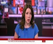 Baby gorilla 'Jameela' on a journey to find a surrogate mum BBC News from ciren verde bbc