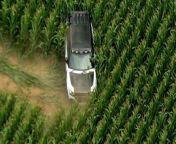 Drunk father and son plough car through corn fields moments before killing womanSource: National Police Air Service, Norfolk Constabulary
