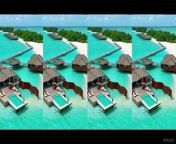 Maldives vlog&#60;br/&#62;Have you been to the Maldives before ?