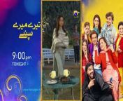 Shiddat Episode 13 [Eng Sub] Muneeb Butt - Anmol Baloch - Digitally Presented by PEL - 25th Mar 2024 from gacha life butt vore