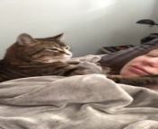This cat liked to show affection towards their owner when they lay in bed. The cat licked and kissed the owner&#39;s face as they lay together, displaying their strong bonding.&#60;br/&#62;&#60;br/&#62;*The underlying music rights are not available for license. For use of the video with the track(s) contained therein, please contact the music publisher(s) or relevant rightsholder(s).”