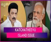 A day after attacking the Congress, Prime Minister Narendra Modi on Monday, April 1, slammed the DMK over the Katchatheevu island issue. In a post on X, PM Modi alleged that the DMK had done nothing to safeguard Tamil Nadu&#39;s interests.&#60;br/&#62;