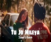 Tu Jo Mileya &#124; Official Video &#124; Juss x MixSingh &#124; New Punjabi Song 2024 &#124; Latest Punjabi Songs 2024&#60;br/&#62;#Juss #mixsingh #newpunjabisong2024 #punjabisongs #latestpunjabisongs