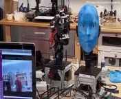 If we want to live in a world where we interact with robots, they&#39;ll have to be able to read and respond to our facial expressions in lightning-fast time. &#60;br/&#62;&#60;br/&#62;Now, scientists have come a step closer to creating such an advanced machine. &#60;br/&#62;&#60;br/&#62;&#39;Emo&#39;, built by experts at Columbia University in New York, is the fastest humanoid in the world when it comes to mimicking a person&#39;s expressions. &#60;br/&#62;
