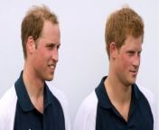 Prince Harry and Prince William inherited different sums due to their separate situations from prince vegeta