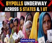 Polling is underway for three Lok Sabha and seven assembly seats across five states and one Union Territory. &#60;br/&#62; &#60;br/&#62;Tags: &#60;br/&#62;#Bypolls2022 #LokSabha #AssemblySeats