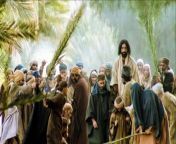 Palm Sunday Sermon &#124; The King Is Coming &#60;br/&#62;&#60;br/&#62;About Video&#60;br/&#62;Palm Sunday is the fulfillment Of the Prophecy By Old Testament Prophet Zechariah 500 Years Ago&#60;br/&#62;&#60;br/&#62;
