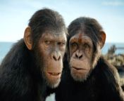Watch the official Super Bowl 2024 trailer for the science fiction action movie Kingdom of the Planet of the Apes, directed by Wes Ball.&#60;br/&#62;&#60;br/&#62;Kingdom of the Planet of the Apes Cast:&#60;br/&#62;&#60;br/&#62;Owen Teague, Freya Allan, Peter Macon, Eka Darville, Kevin Durand, Kevin Durand and William H. Macy&#60;br/&#62;&#60;br/&#62;Kingdom of the Planet of the Apes will hit theaters May 10, 2024!