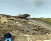 The dramatic moment a tree tumbled down a cliff in the latest landslide to hit Folkestone has been caught on camera.