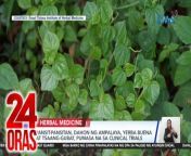 Dahon ng ampalaya bilang gamot? Isa lang &#39;yan sa apat na herbal medicine na pasado na sa clinical trials na tumagal ng &#39;di bababa sa pitong taon.&#60;br/&#62;&#60;br/&#62;&#60;br/&#62;24 Oras is GMA Network’s flagship newscast, anchored by Mel Tiangco, Vicky Morales and Emil Sumangil. It airs on GMA-7 Mondays to Fridays at 6:30 PM (PHL Time) and on weekends at 5:30 PM. For more videos from 24 Oras, visit http://www.gmanews.tv/24oras.&#60;br/&#62;&#60;br/&#62;#GMAIntegratedNews #KapusoStream&#60;br/&#62;&#60;br/&#62;Breaking news and stories from the Philippines and abroad:&#60;br/&#62;GMA Integrated News Portal: http://www.gmanews.tv&#60;br/&#62;Facebook: http://www.facebook.com/gmanews&#60;br/&#62;TikTok: https://www.tiktok.com/@gmanews&#60;br/&#62;Twitter: http://www.twitter.com/gmanews&#60;br/&#62;Instagram: http://www.instagram.com/gmanews&#60;br/&#62;&#60;br/&#62;GMA Network Kapuso programs on GMA Pinoy TV: https://gmapinoytv.com/subscribe