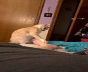 This person was lying in the bed after soaking their feet in hot water for some time. However, their cat, Peanut, did not like it much as they were seen attacking them with their pawns repeatedly. Their owner eventually had to pet them to calm them down.