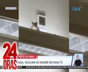 Kasunod ng surot, may bagong gumagapang problema sa NAIA. Daga na nahulicam naman sa kisame ng Terminal 3.&#60;br/&#62;&#60;br/&#62;&#60;br/&#62;24 Oras is GMA Network’s flagship newscast, anchored by Mel Tiangco, Vicky Morales and Emil Sumangil. It airs on GMA-7 Mondays to Fridays at 6:30 PM (PHL Time) and on weekends at 5:30 PM. For more videos from 24 Oras, visit http://www.gmanews.tv/24oras.&#60;br/&#62;&#60;br/&#62;#GMAIntegratedNews #KapusoStream&#60;br/&#62;&#60;br/&#62;Breaking news and stories from the Philippines and abroad:&#60;br/&#62;GMA Integrated News Portal: http://www.gmanews.tv&#60;br/&#62;Facebook: http://www.facebook.com/gmanews&#60;br/&#62;TikTok: https://www.tiktok.com/@gmanews&#60;br/&#62;Twitter: http://www.twitter.com/gmanews&#60;br/&#62;Instagram: http://www.instagram.com/gmanews&#60;br/&#62;&#60;br/&#62;GMA Network Kapuso programs on GMA Pinoy TV: https://gmapinoytv.com/subscribe