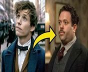 Jacob should&#39;ve been the protagonist of the Fantastic Beasts franchise.